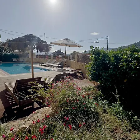 Miramar Complex - *